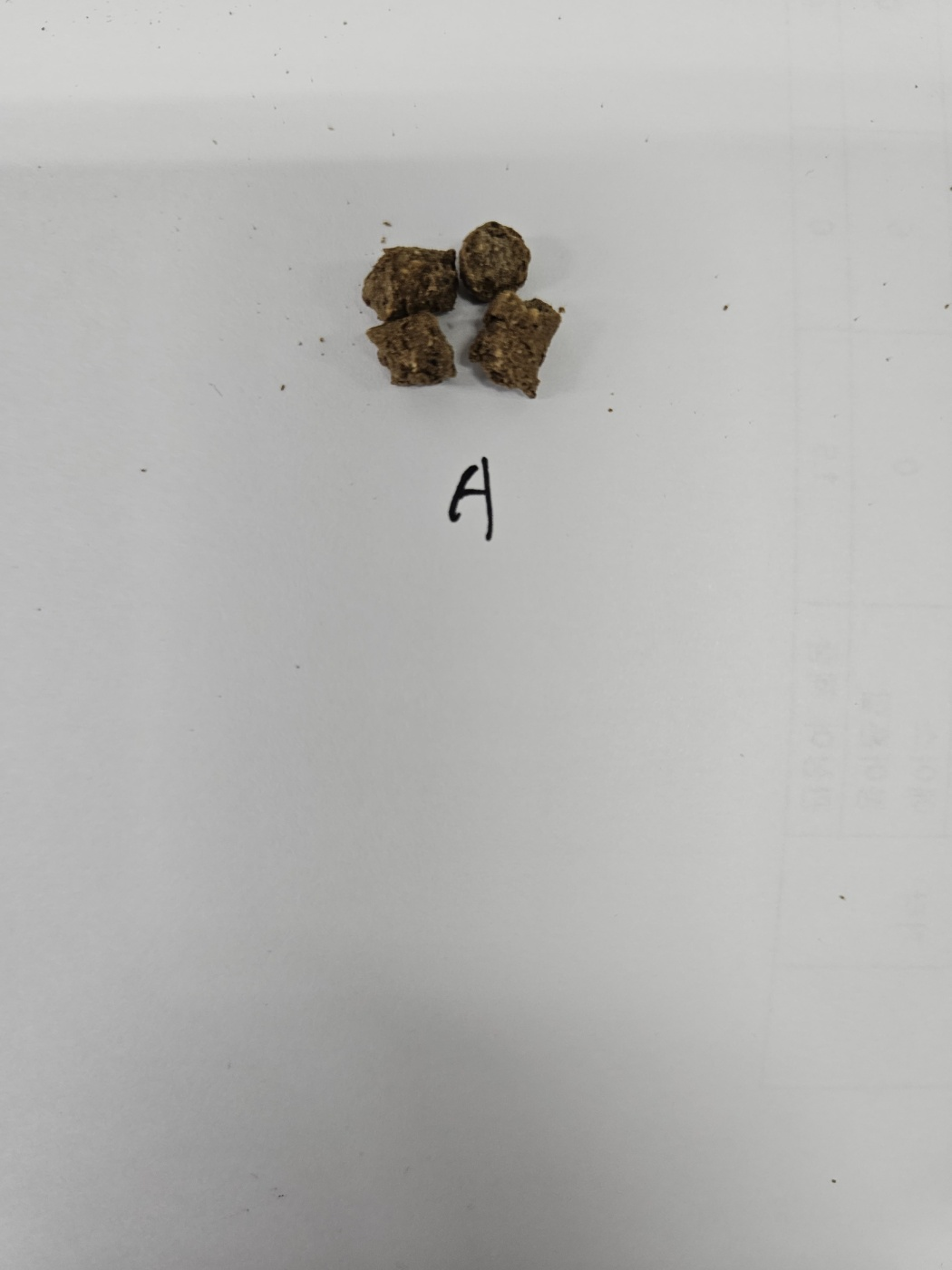 Sodium alginate 0.2% feed sample after the water-stability test