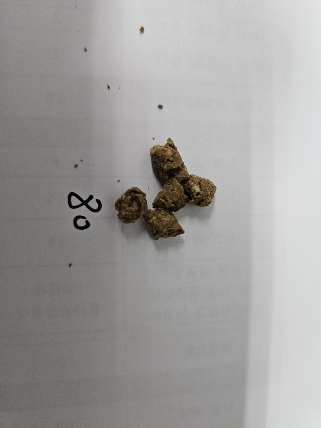 BERDA 0.2% feed sample after the water-stability test