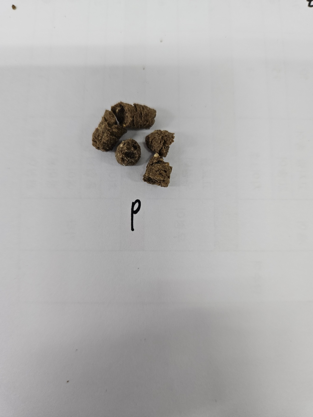 Pectin 0.2% feed sample after the water-stability test